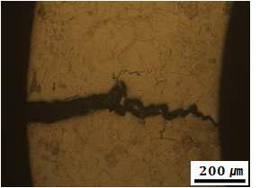 Crack growth pattern of the as-cold worked 316L stainless steel upon exposure in boiling MgCl2 solution at 155oC for xxh.
