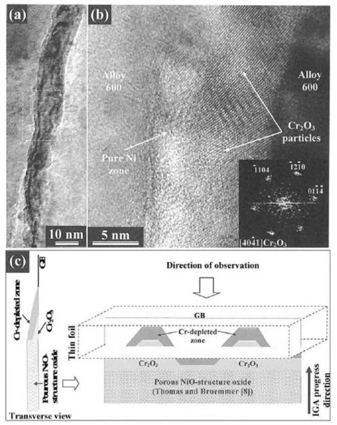 Microstructure of (a) oxide-metal interface in the oxidized grain boundary of Alloy 600: (b) enlarged microstructure with TEM and (c) a diagram explaining the oxidation behavior of Alloy 600.