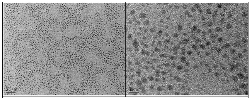 TEM analysis of gold nanoparticleusing Brust et. al. method.]