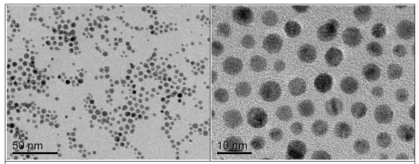 TEM analysis of gold nanoparticle using [BMIM][PF6]]