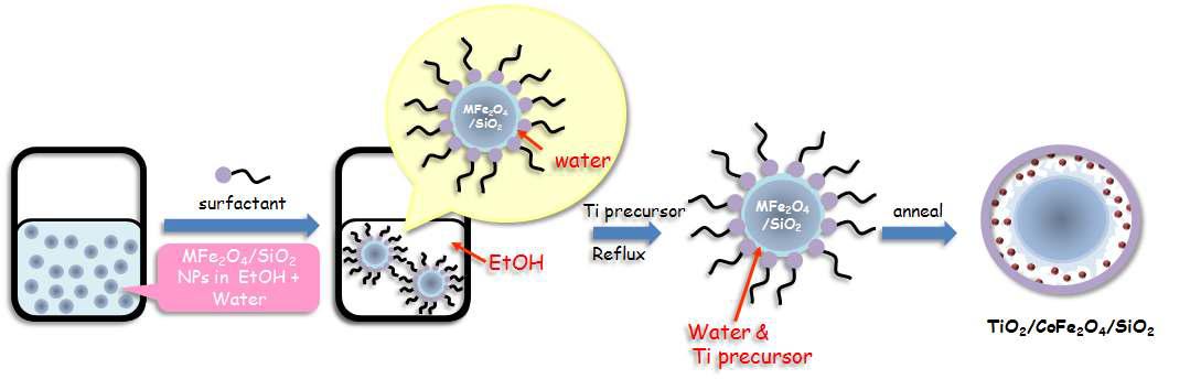 초상자성 다공성 실리카 입자(MFe2O4/SiO2; M=Co, Ni, Cu)에 타이태니아를 코팅하는 모식도
