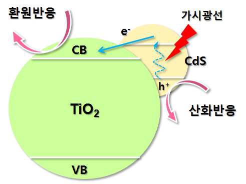 빛을 흡수한 CdS가 TiO2의 CB로 전자를 이동시키는 과정을 보여주는 모식도.