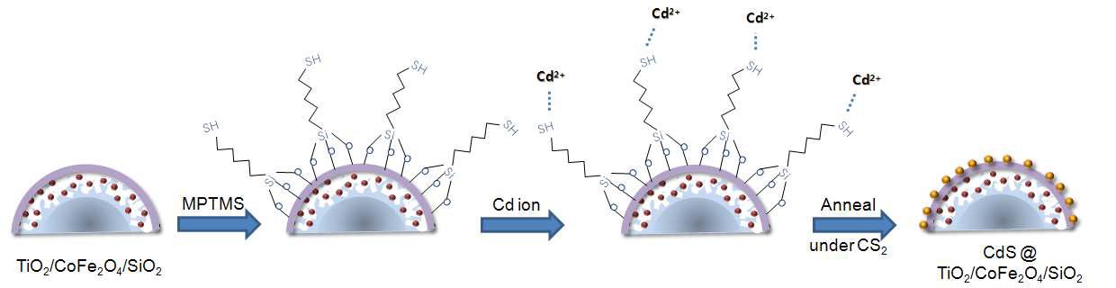반구로 표시한 CdS@TiO2/CoFe2O4/SiO2 광촉매를 만드는 모식도.