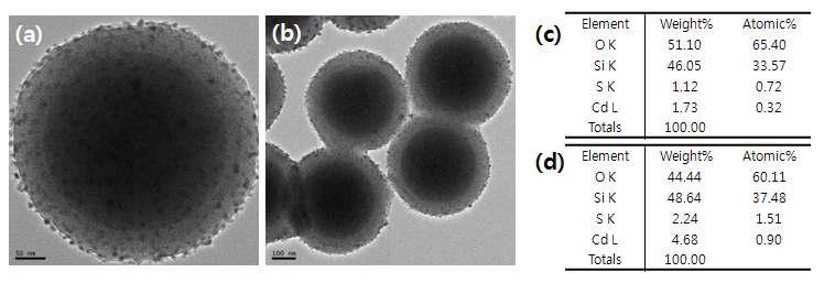 (a)와 (b)는 CdS@TiO2/CoFe2O4/SiO2의 배율에 따른 TEM 사진.