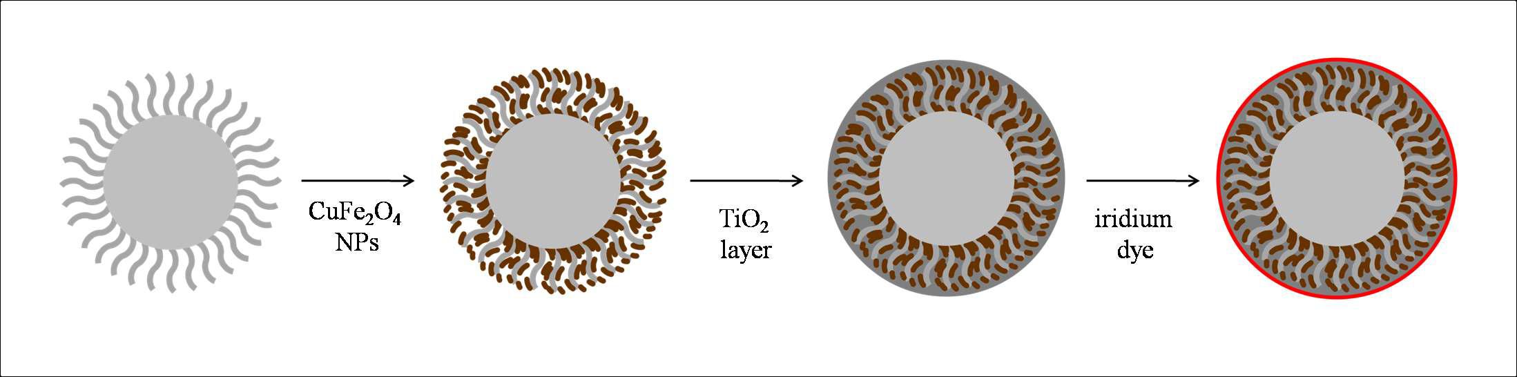 [Ir(bpy)(biph)(BDA)]OTf가 TiO2/CuFe2O4@SiO2 표면에 부착되는 모식도