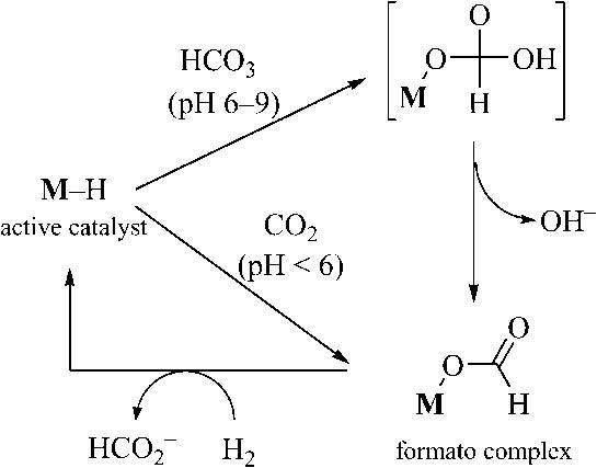 수용액상에서의 HCO －3 /CO2의 제안된 수소화 반응 메커니즘 경로.