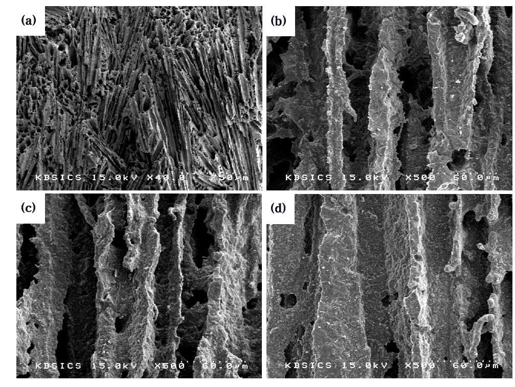 SEM micrographs of (a) cross sections parallel to the macroscopic TBA ice growth direction; sintered at 1500o C for 2 h with starting Al2O3/SiO2 (molar ratio) = 1.5 and 50 wt.% solid loading; (b) bottom part, (c) middle part, and (d) top part.