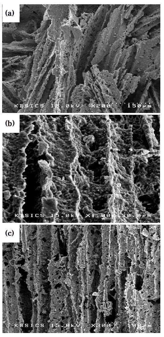 SEM micrographs of cross sections parallel to the macroscopic TBA ice growth direction; sintered at 1400o C for 2 h with starting powder composition of Al2O3/SiO2 (molar ratio) = 1.5. (a) 40 wt.%, (b) 50 wt.%, and (c) 60 wt.% solid loading.