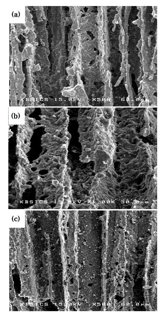 SEM micrographs of cross sections parallel to the macroscopic TBA ice growth direction; sintered at 1400o C for 2 h with 50 wt.% solid loading; starting powder composition Al2O3/SiO2 (molar ratio) = (a) 1.2, (b) 1.5, and (c) 1.8.