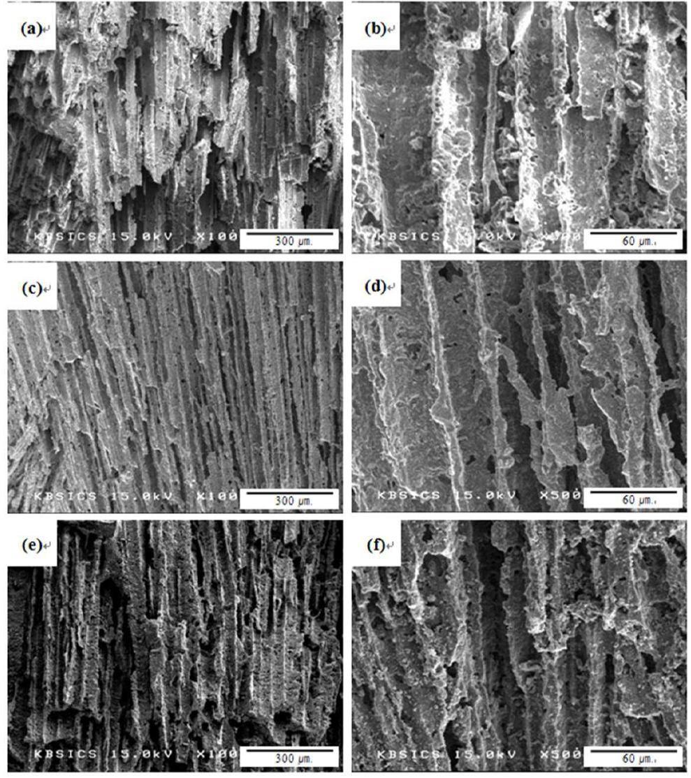 SEM micrographs of cross-sections parallel to the macroscopic TBA solid growth direction after sintering at 1400o C with (a) 20, (b) 30 and (c) 40 wt.% solid loading; (b), (d) and (f) showing high magnification of (a), (c) and (e), respectively.