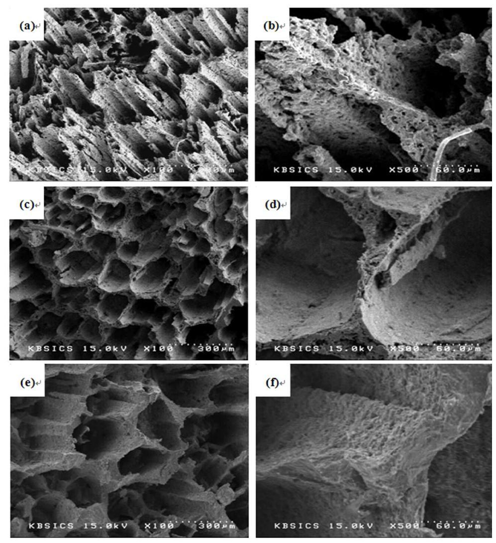 SEM micrographs of cross-sections perpendicular to the macroscopic TBA solid growth direction after sintering at (a) 1300, (c) 1400 and (e) 1500o C with 30 wt.% solid loading; (b), (d) and (f) showing high magnification of (a), (c) and (e), respectively.