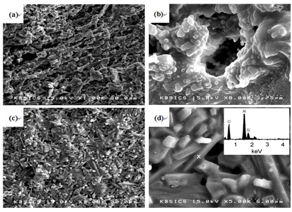 SEM micrographs of the inner walls of pore channels after sintering at (a) 1300o C and (c) 1500o C with 40 wt.% solid loading; (b) and (d) showing high magnification of (a) and (c), respectively; EDS spectrum showing atomic concentration (wt.%) of 62 O,10 Si and 28 Al (Full scale 175 cts).