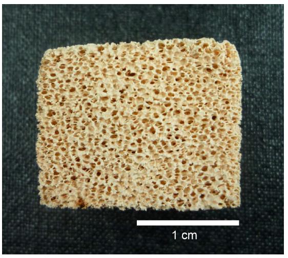 Optical photographs of porous mullite ceramics processed with 60 wt.% starting solid loading using a freeze-gelcasting/polymer sponge method; sintered at 1400o C for 2 h.