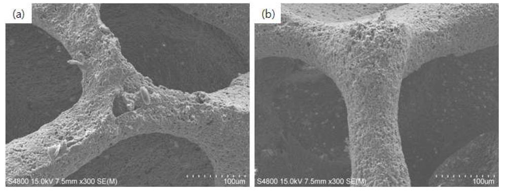 SEM micrograph of struts of porous mullite obtained after sintering at (a) 1400 and (b) 1500o C with 60 wt.% starting solid loading.