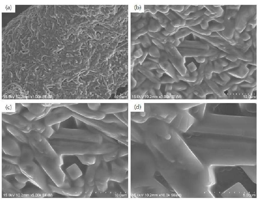 SEM micrographs of struts of porous reticulated mullite ceramics sintered 1600℃ for 2h with 60 wt% starting solid loading at high magnification: (a) 1.0k, (b) 3.0k, (c) 5.0k and (d) 10.0k.