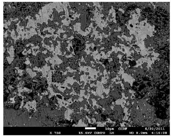 Pd0.8Ag0.2-YSZ cermet 소결 후 BEI(Back-scattered electron micrograph image)측정.