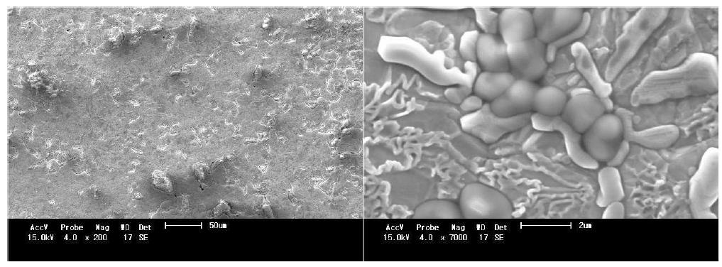 Dry Pressing를 이용한 NiO+YSZ 기판 위에서의 PdAg+YSZ Film SEM data