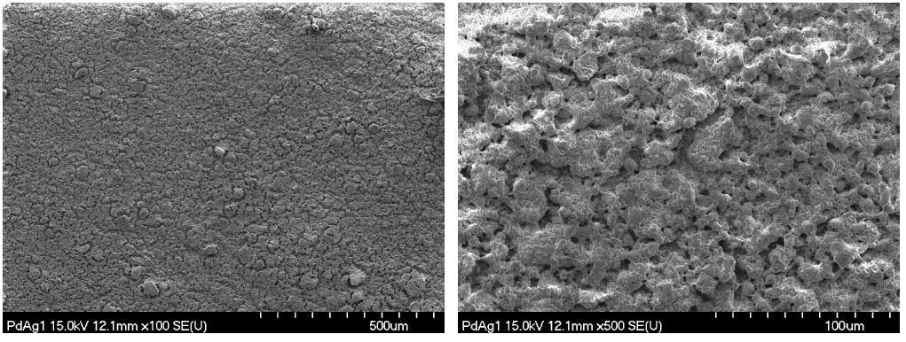 1200℃에서 가소결한 지지체를 이용하여 소결조제를 넣은 paste를 이용하여 붓으로 coating 함