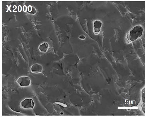 BaCo0.7Fe0.22Nb0.08O3-δ 의 SEM image