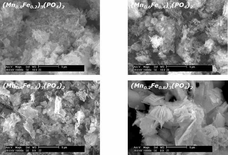 제조된 Fe-Mn 복합 phosphate 화합물의 SEM 사진