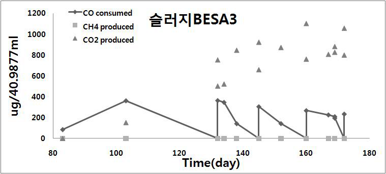 슬러지 3 시료를 이용한 합성가스 발효세균 농화과정 중 일산화 탄소의 시간에 따른 감소.