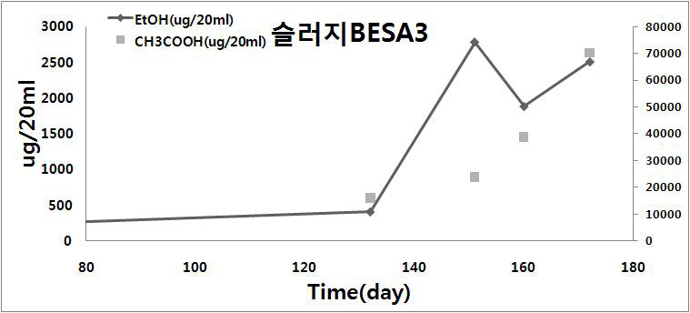 슬러지 3 시료를 이용한 합성가스 발효세균 농화과정 중 시간에 따라 생산되는 에탄올 및 아세트산.