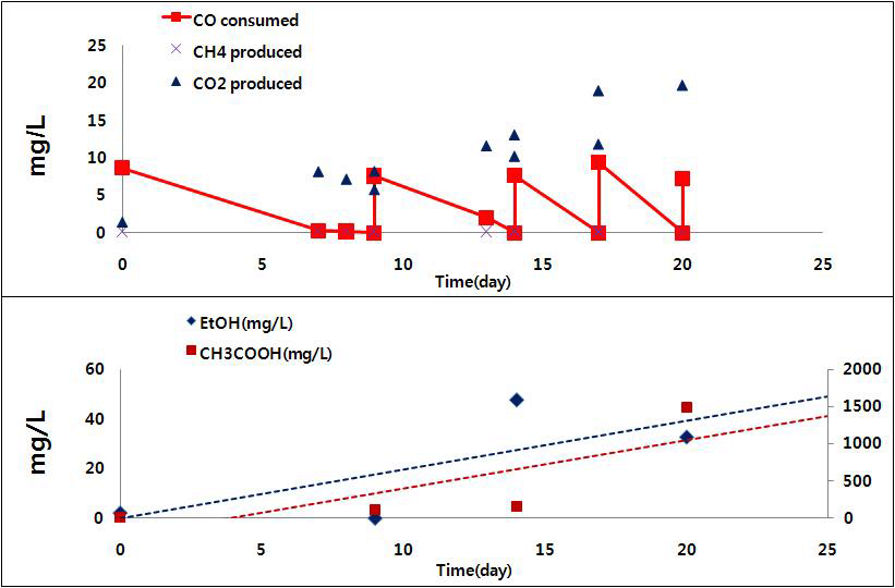 1차 계대를 통한 합성가스 발효세균에 의한 일산화탄소의 시간에 따른 감소