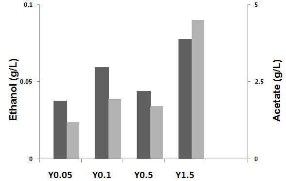 Yeast extract가 분리균주 SG02의 ethanol 생산에 미치는 영향