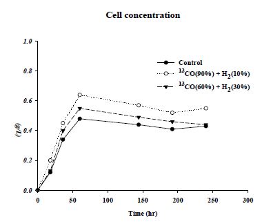 가스구성에 따른 셀 농도의 변화