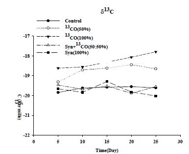 가스조성에 따른 C. ljungdahlii의 δ13C 변화