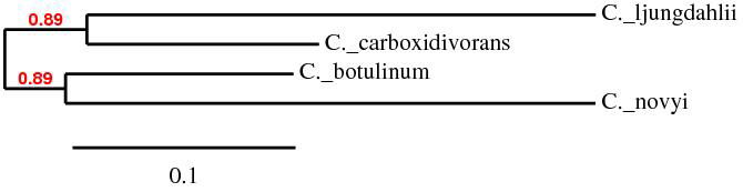 Phylogenetic tree of acetate kinase gene from Clostridium ljungdahlii.