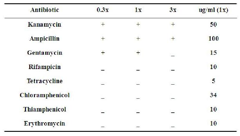 Antibiotic selection test for Gram-positive bacteria.