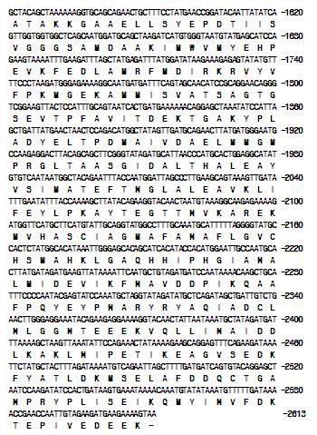 Nucleotide and deduced amino acid sequences of Alcohol dehydrogenase gene from Clostridium ljungdahlii.