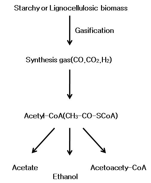 에탄올 및 아세테이트 생성 요약도