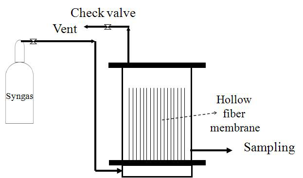 Hollow fiber membrane bioreactor 모식도.