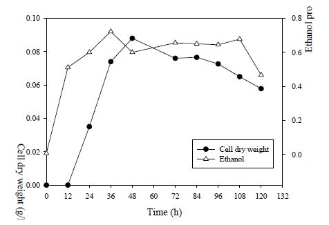 Hollow fiber membrane bioreactor에서의 배양. Ethanol 생성곡선 및 미생물 생장곡선