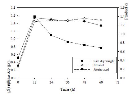 배양 후 24시간 동안만 pH 7 제어 하였을 때의 미생물 생장 및 에탄올, 아세트산 생성 곡선.