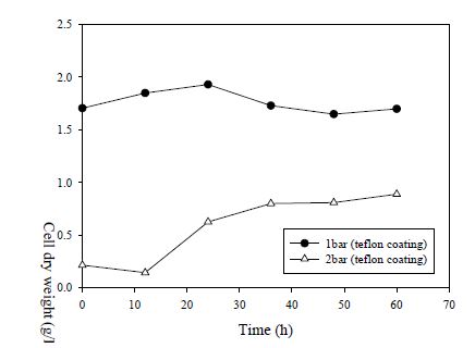 압력을 1bar로 유지한 SUS 반응기의 테프론 코팅 전/후에 따른 C. ljungdahlii의 성장 곡선