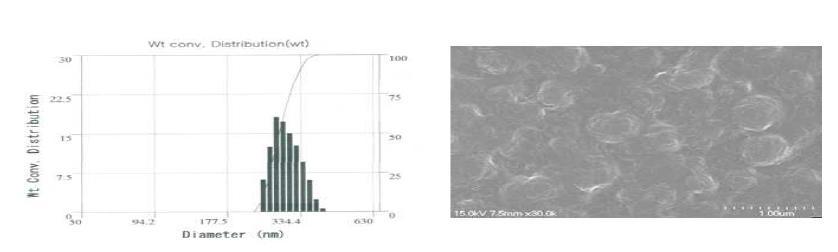 20,000 psi의 압력으로 E.coli 재조합 균주를 파쇄한 후의 입자 크기와 SEM 이미지