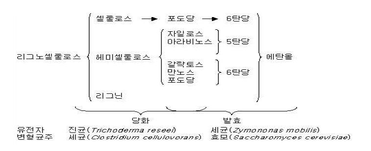 각종 미생물로부터 생산되는 섬유소 분해효소에 의한 cellulase 효소 당화공정 연구