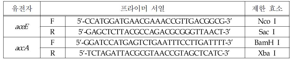 표 1의 유전자를 증폭하기 위한 프라이머 및 제한효소