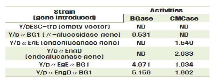 재조합 단백질을 발현하는 형질전환된 균주의 효소 활성