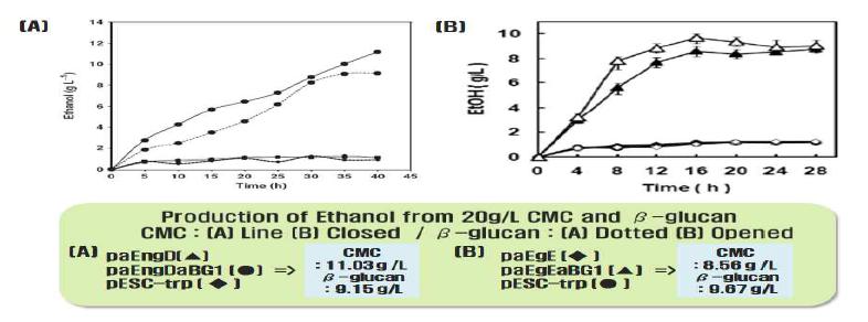 CMC를 유일한 탄소원으로 하는 배지에서의 에탄올 생산