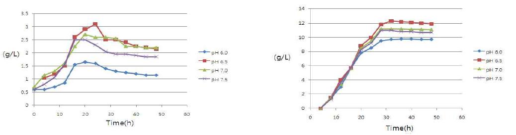 The effect of pH on the cell growth and butyric acid production