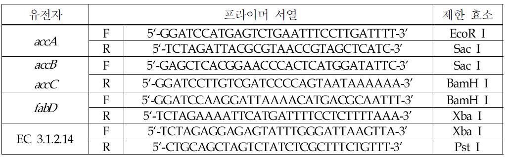 표 5의 유전자를 증폭하기 위한 프라이머 및 제한효소