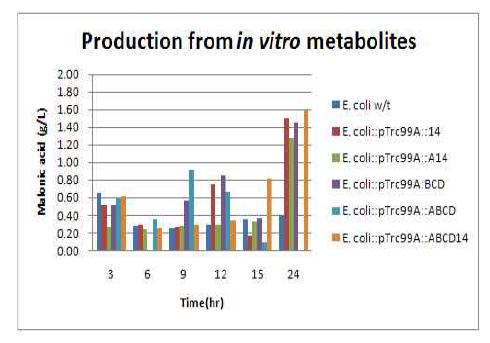 In vitro metabolits로부터의 중간산물(malonic acid) 분석