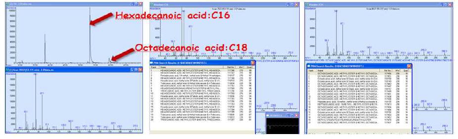 GC-Mass를 이용한 fatty acid 정성분석