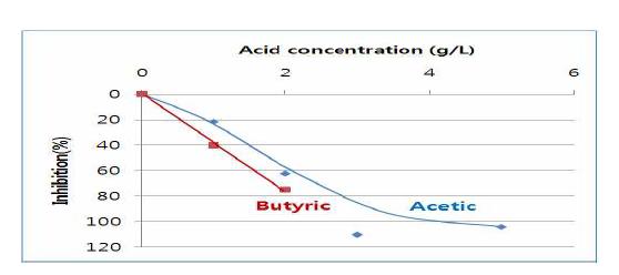 C. butylicum에 의한 butyricacid에서의 product inhibition