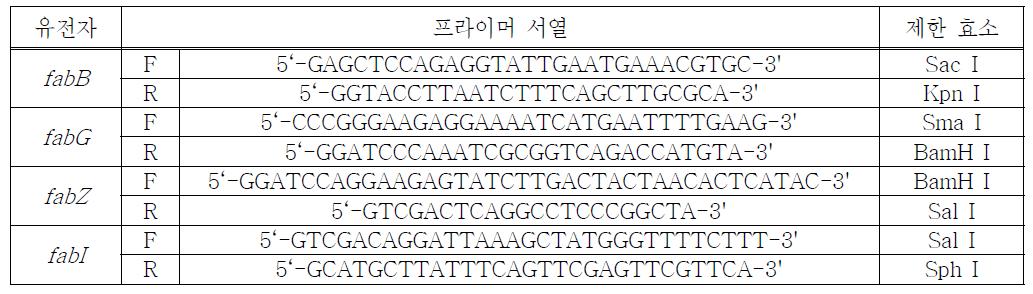 표 10의 유전자를 증폭하기 위한 프라이머 및 제한효소