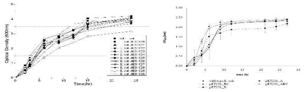 재조합 대장균의 growth curve